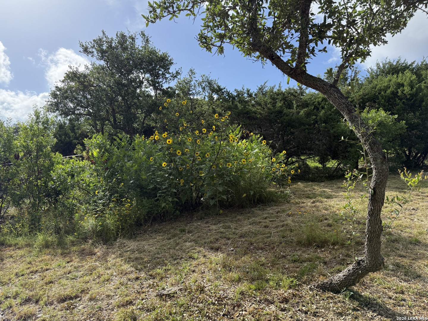18806 Canyon View Pass