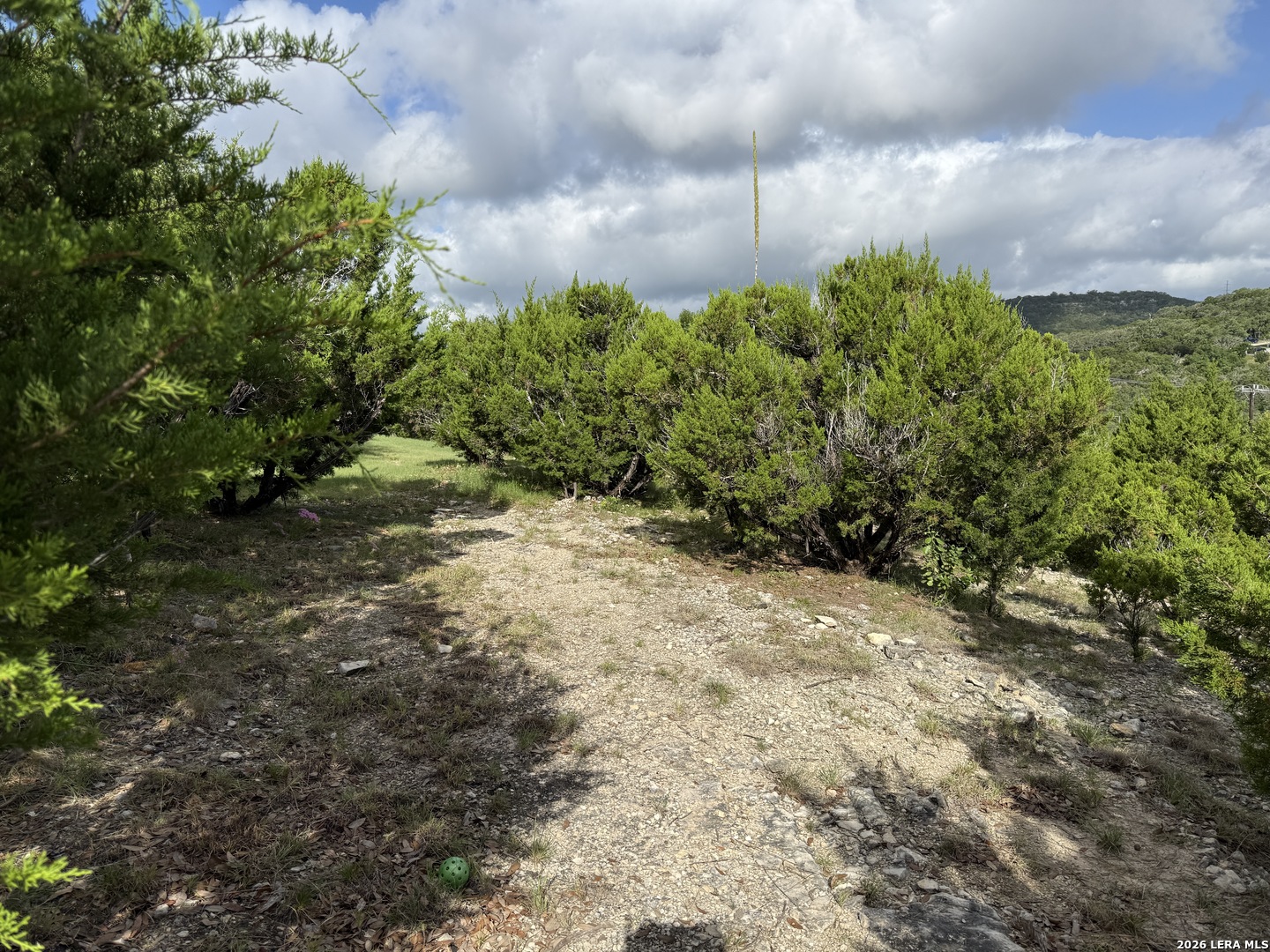 18806 Canyon View Pass