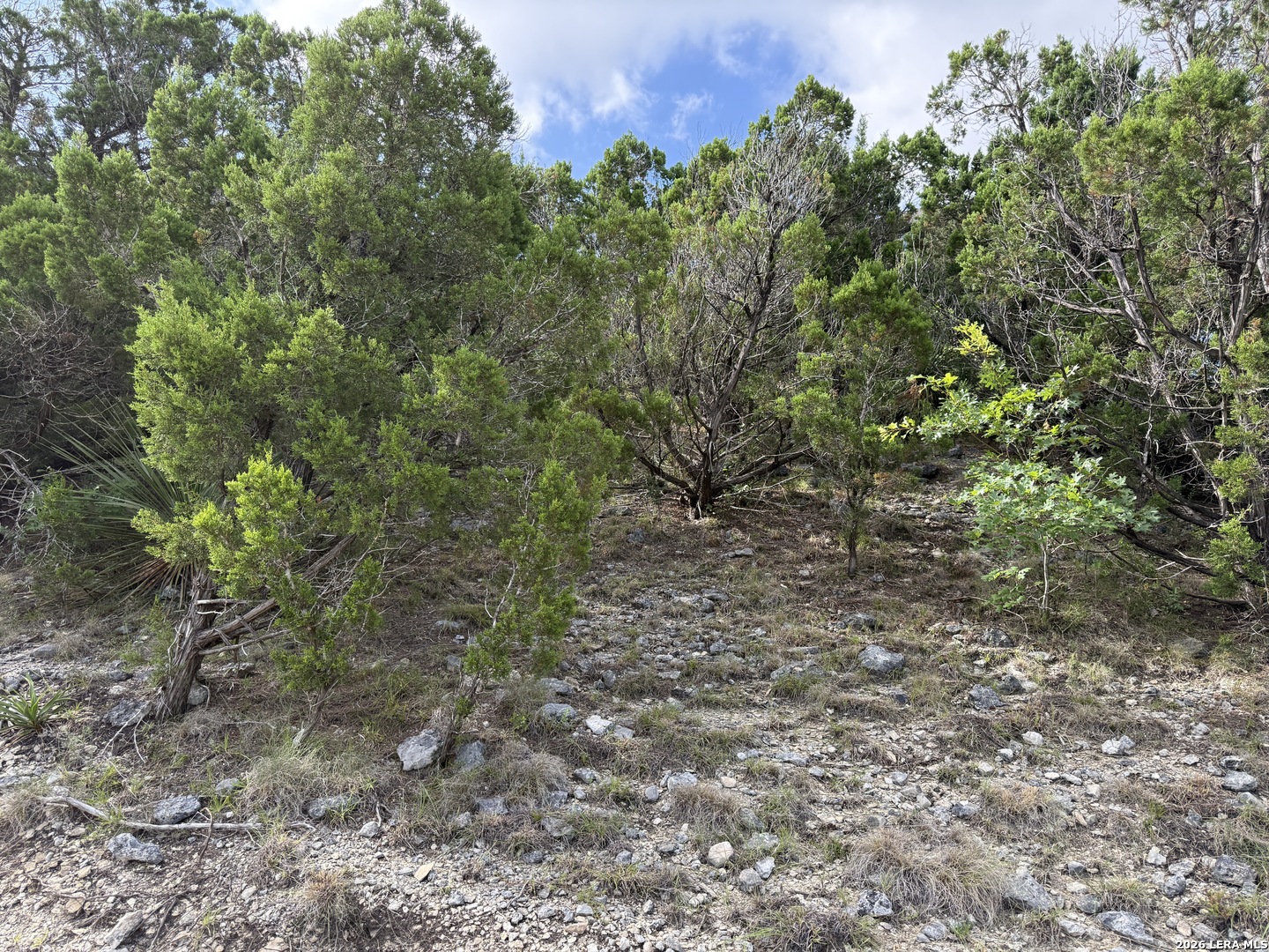 18806 Canyon View Pass