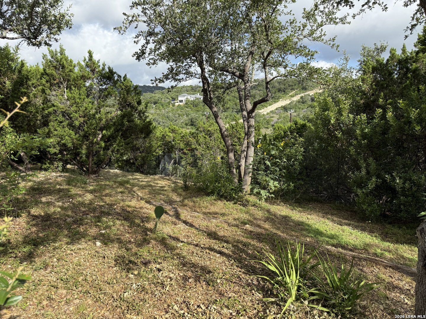 18806 Canyon View Pass