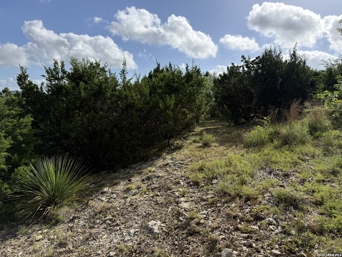 18806 Canyon View Pass