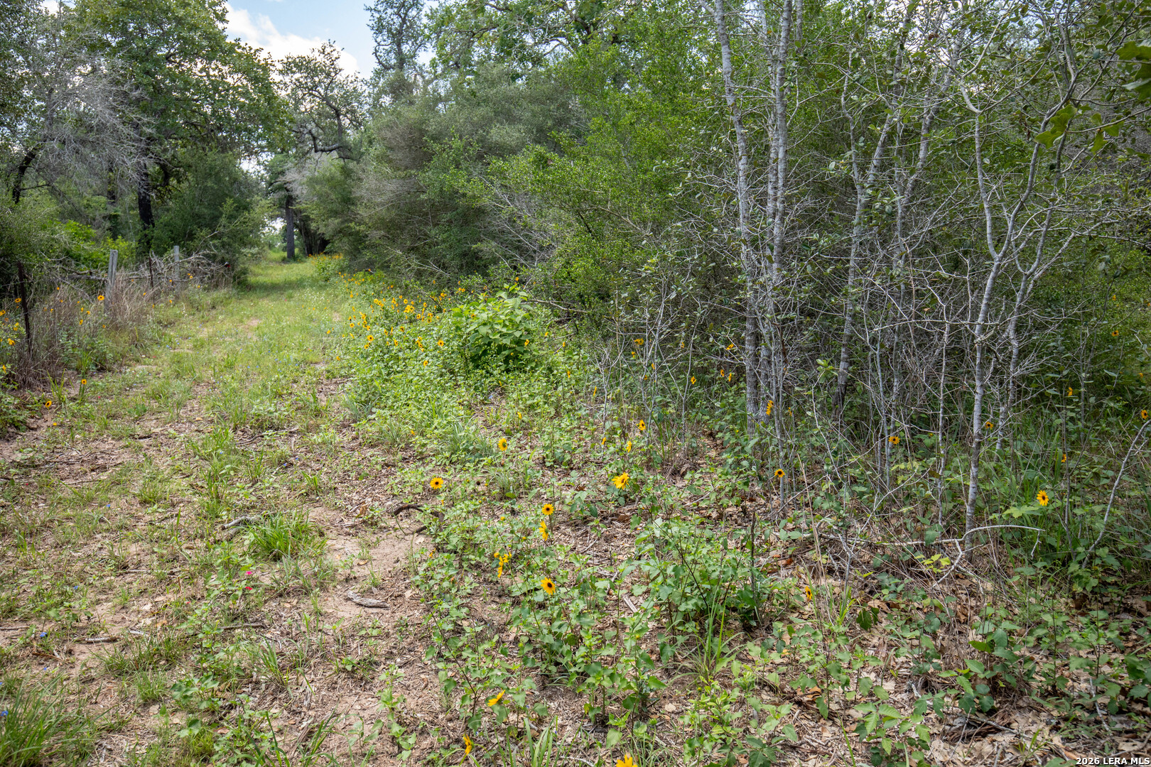 9393 E Us Highway 87
