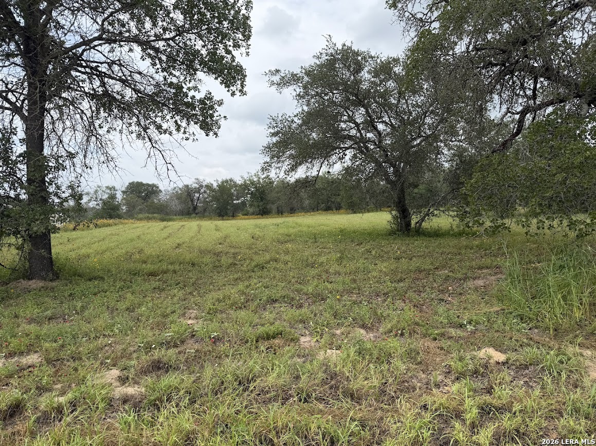 2225 Silver Mountain Drive