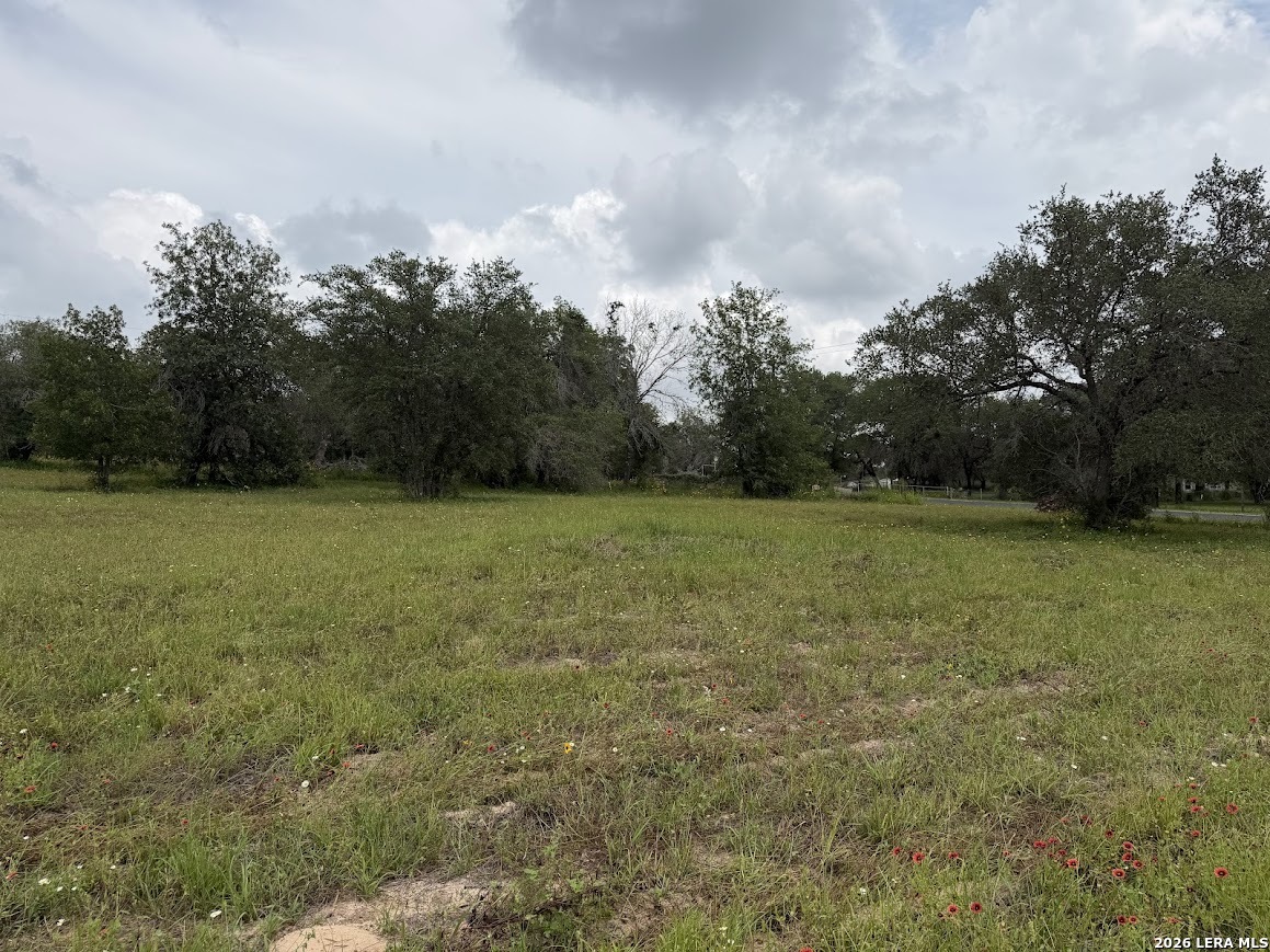 2225 Silver Mountain Drive