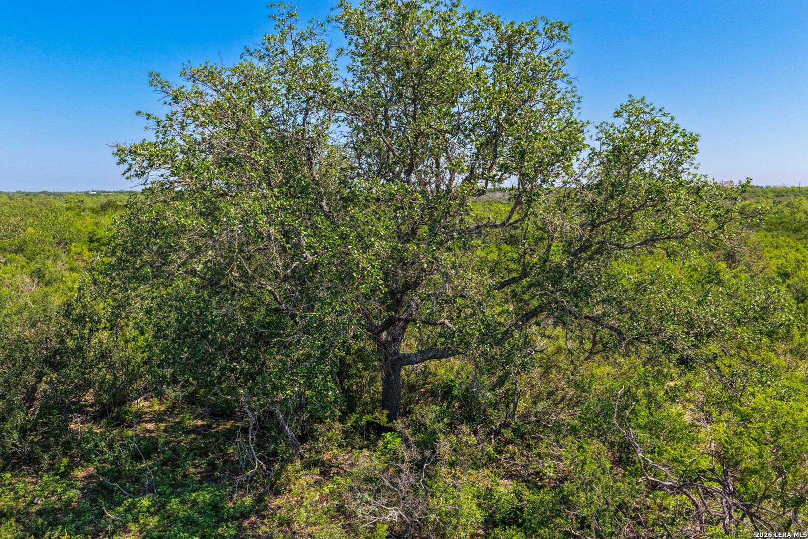 000 Private Road 5754