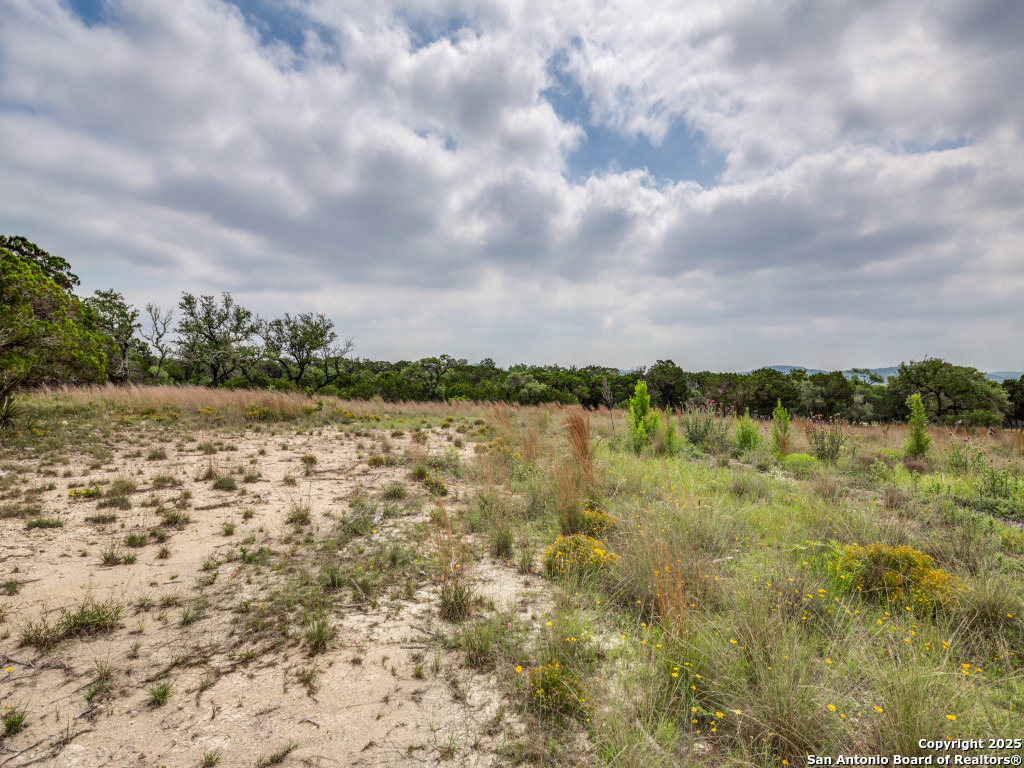 LOT 20 Canyon Forest