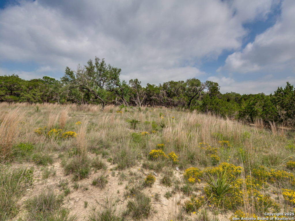 LOT 20 Canyon Forest