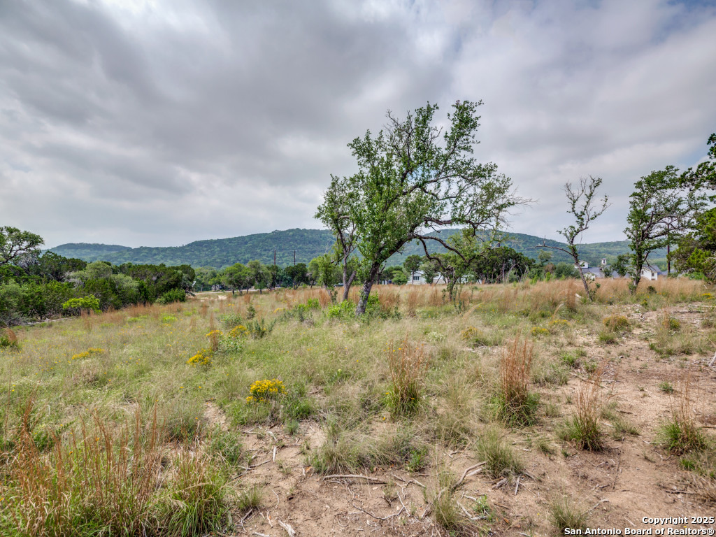 LOT 20 Canyon Forest