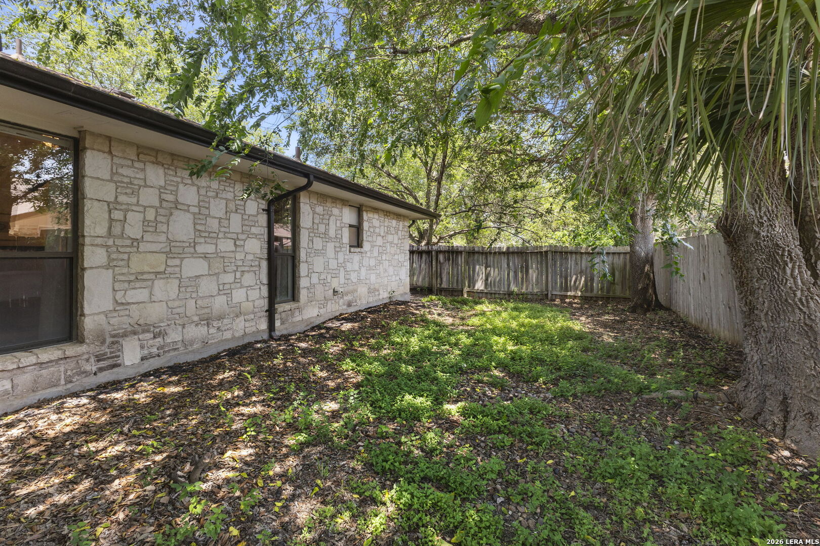 6215 Pine Needles