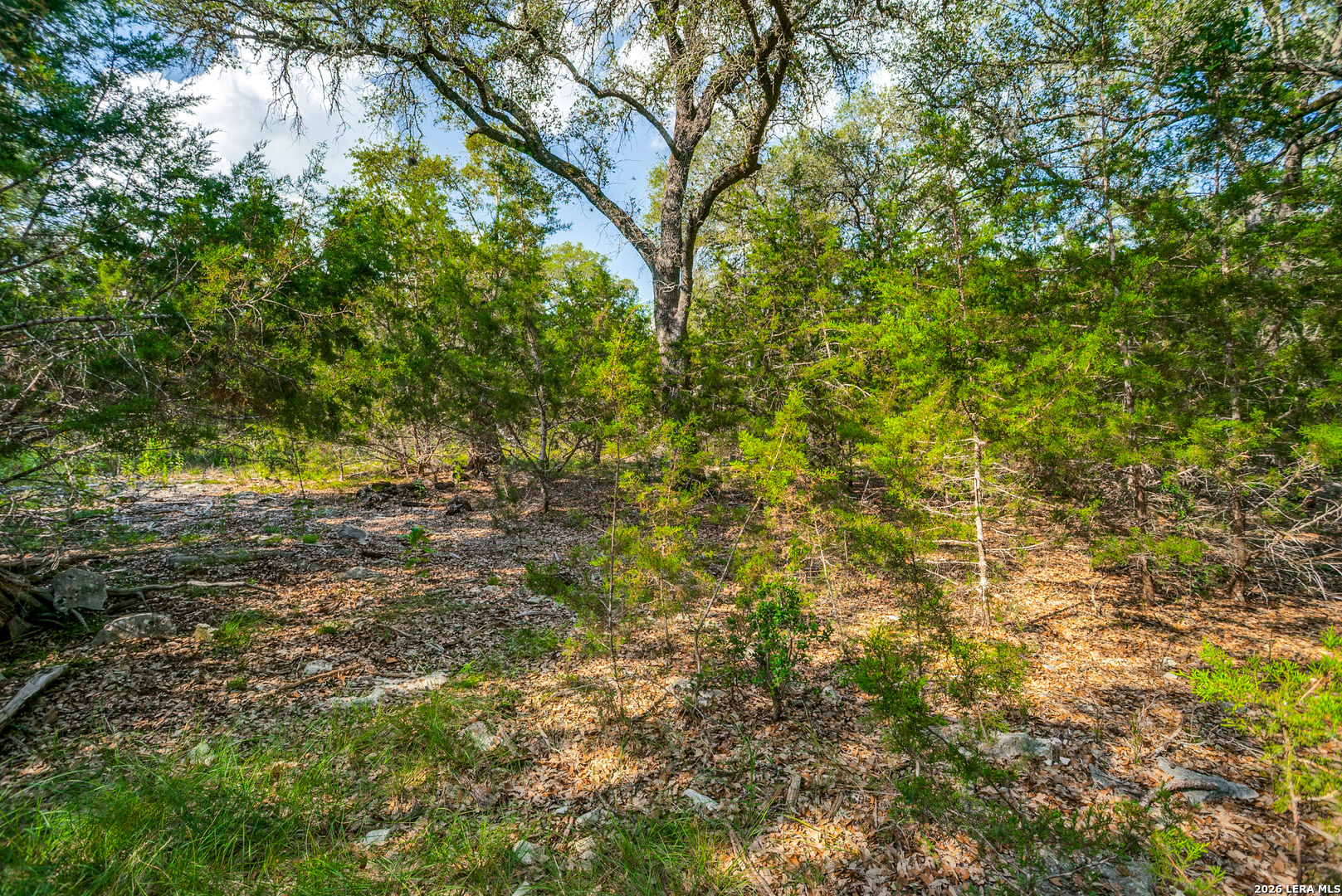 104C Riverwood
