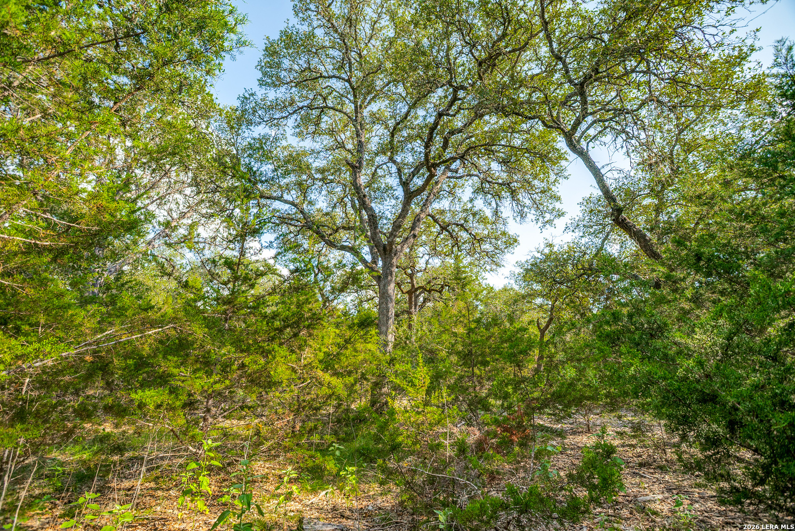 104C Riverwood