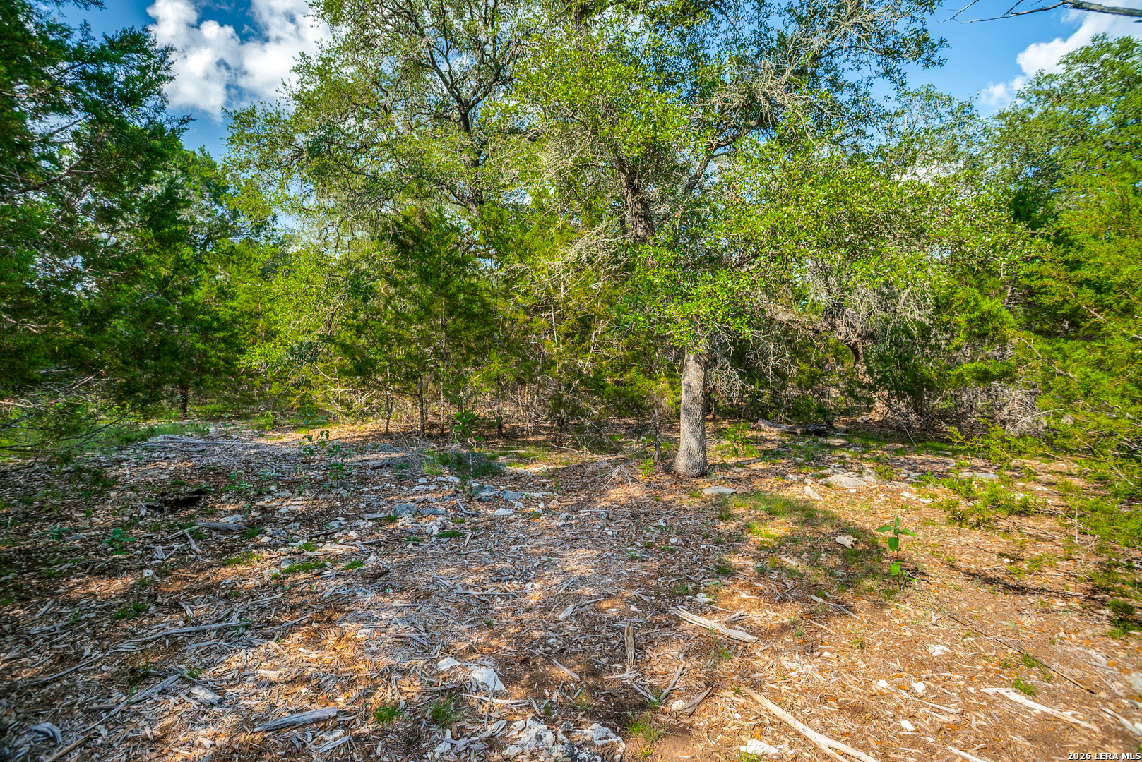 104C Riverwood