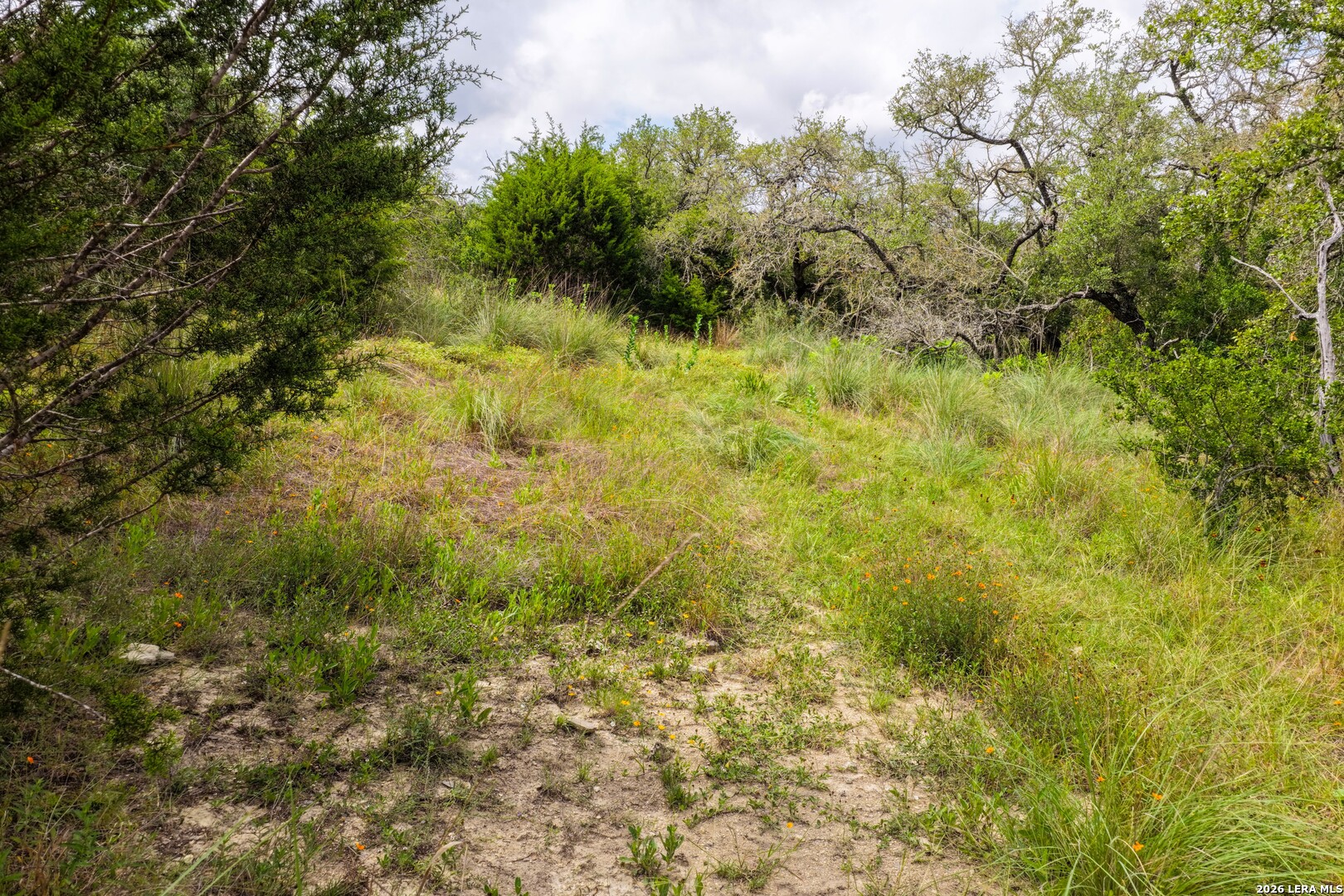 30 ACRES +/- Peaceful Valley Rd