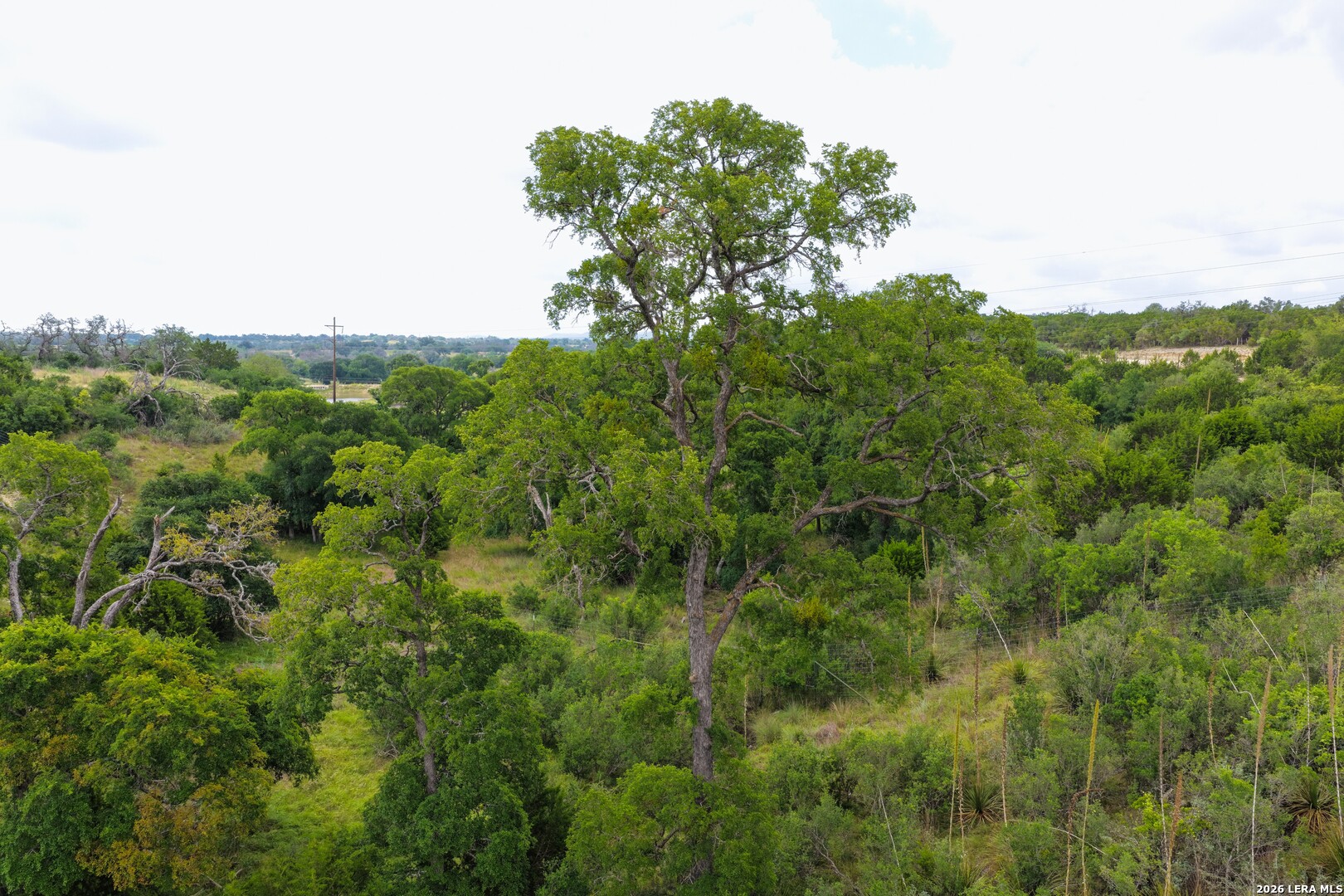 30 ACRES +/- Peaceful Valley Rd