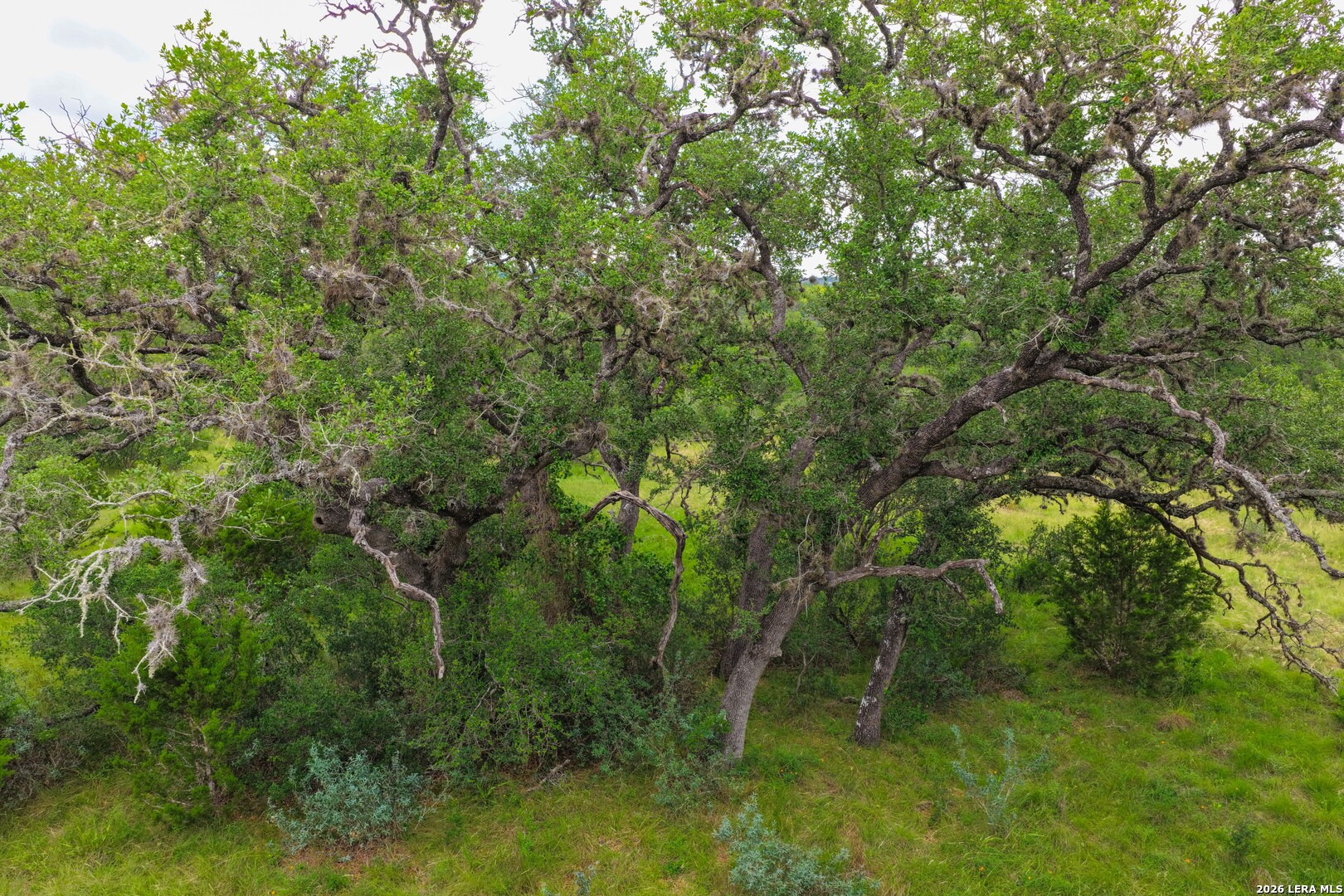 30 ACRES +/- Peaceful Valley Rd