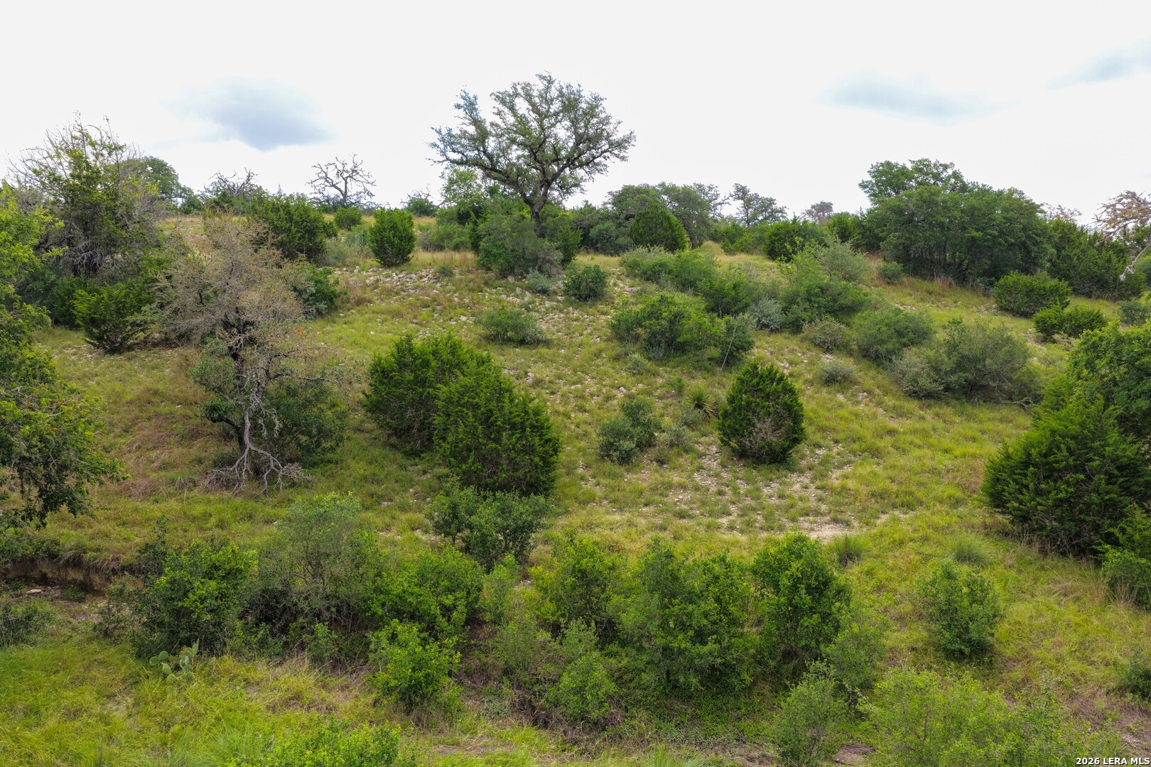 30 ACRES +/- Peaceful Valley Rd