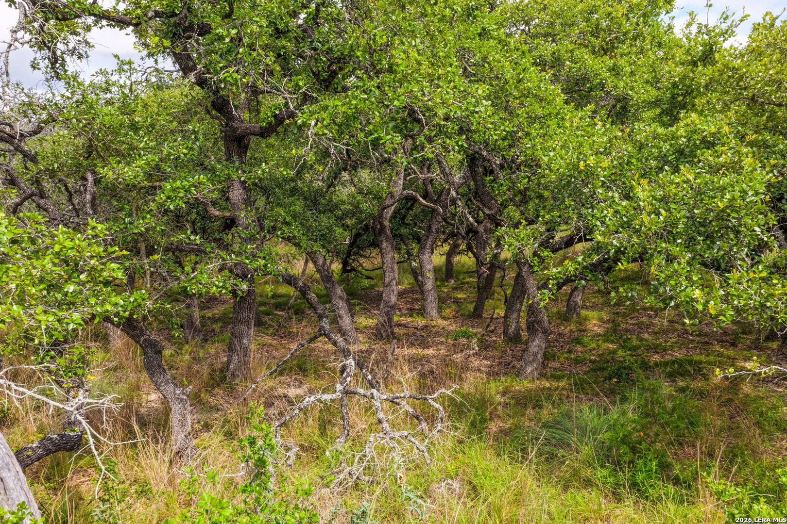 30 ACRES +/- Peaceful Valley Rd
