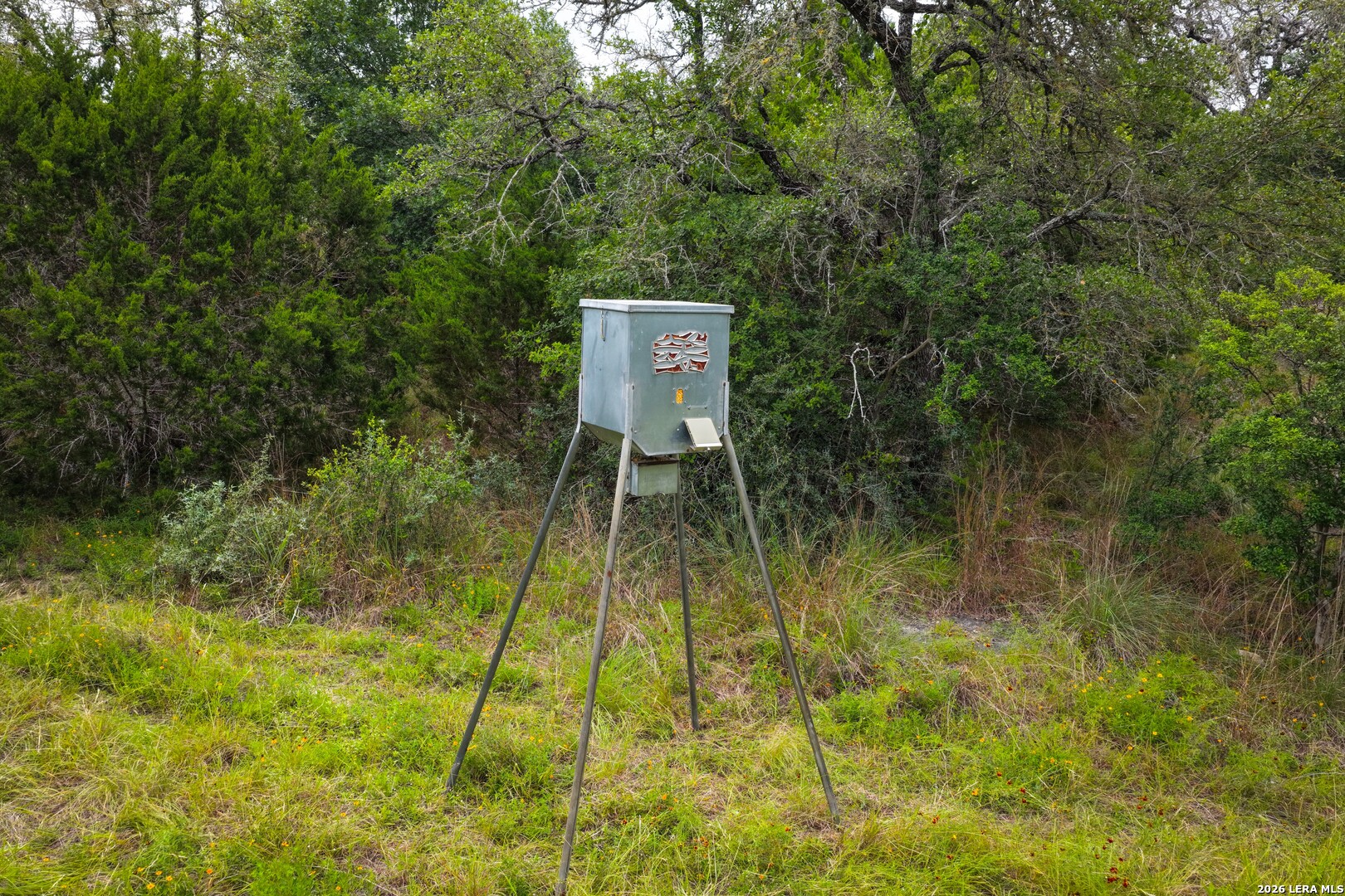 30 ACRES +/- Peaceful Valley Rd
