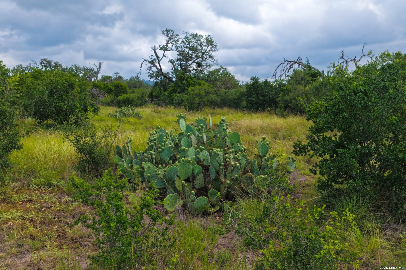 30 ACRES +/- Peaceful Valley Rd