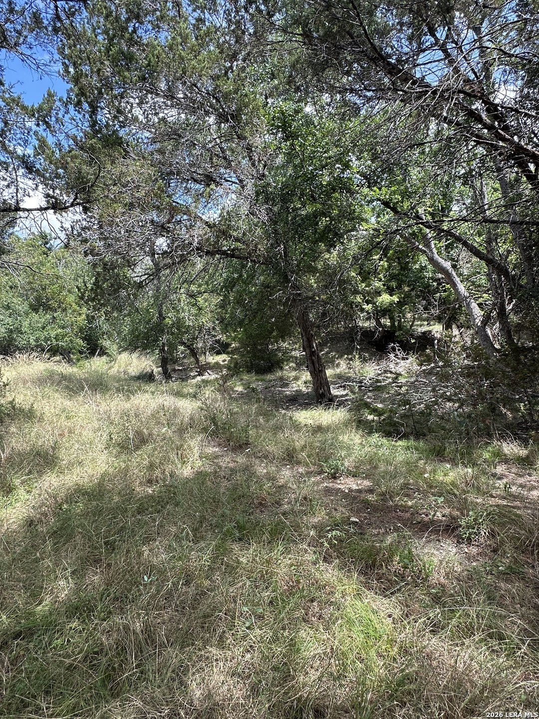 393 US HIGHWAY 87