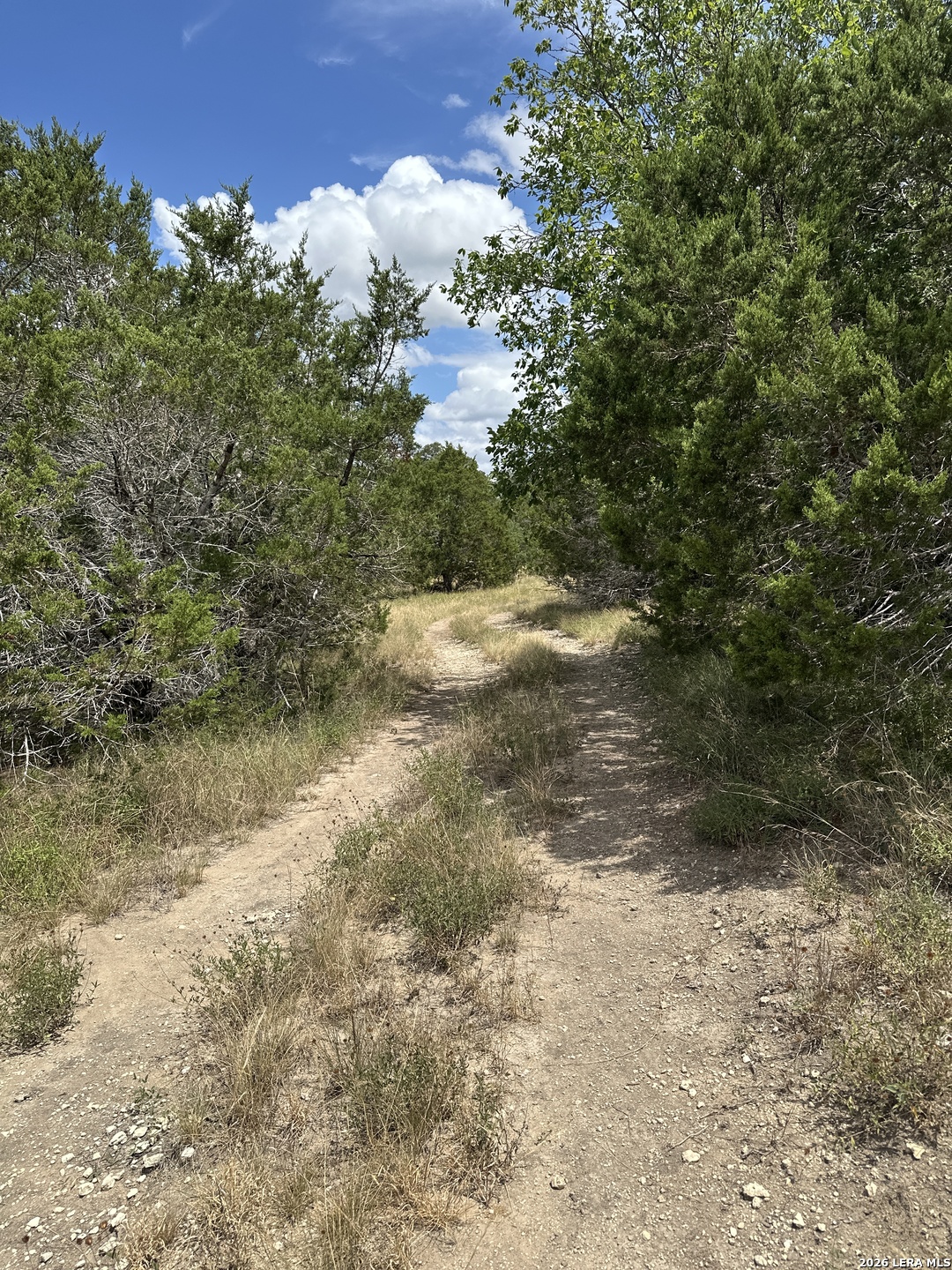 393 US HIGHWAY 87