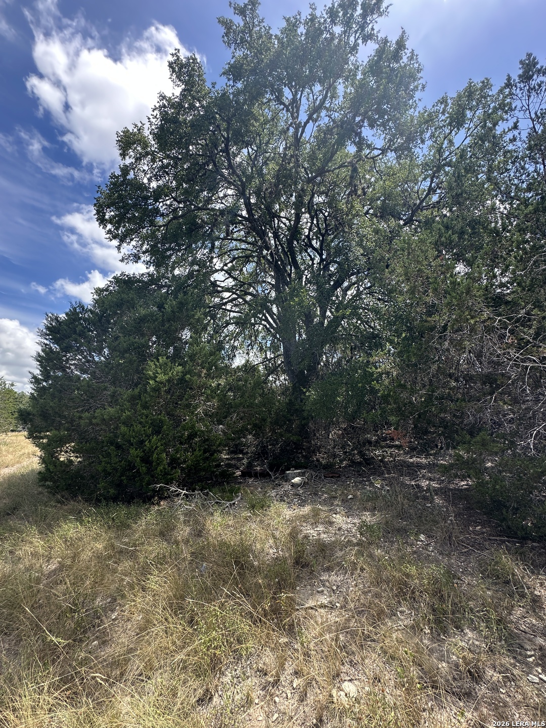 393 US HIGHWAY 87