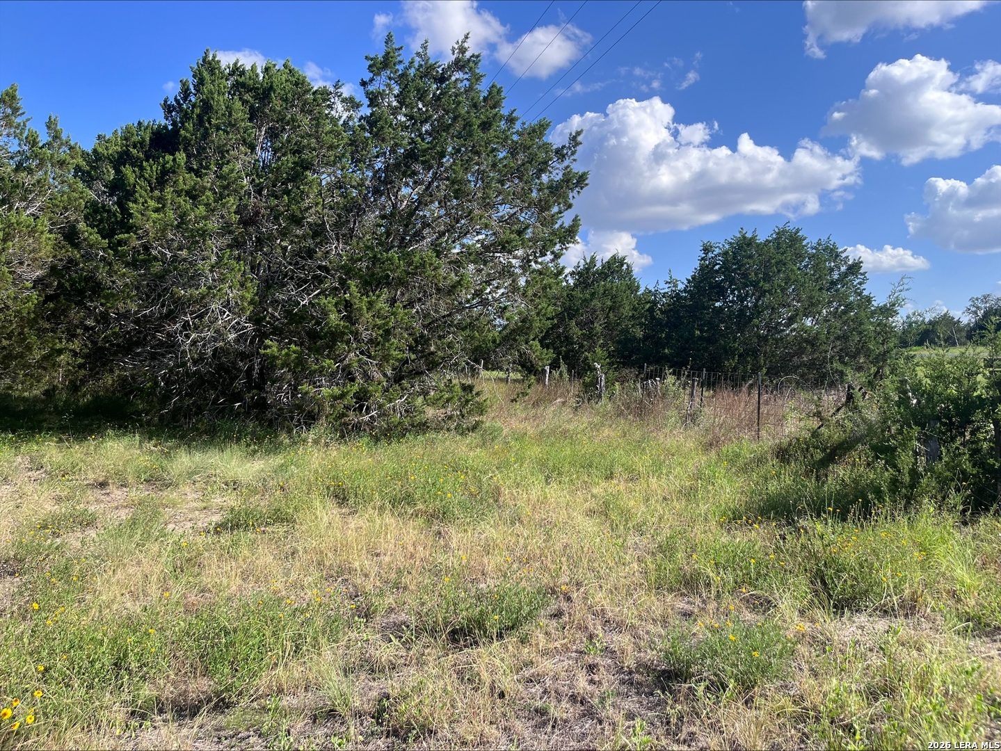 393 US HIGHWAY 87