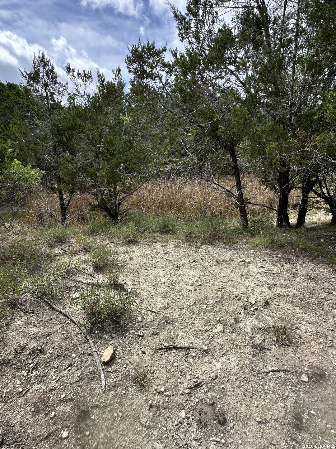 393 US HIGHWAY 87