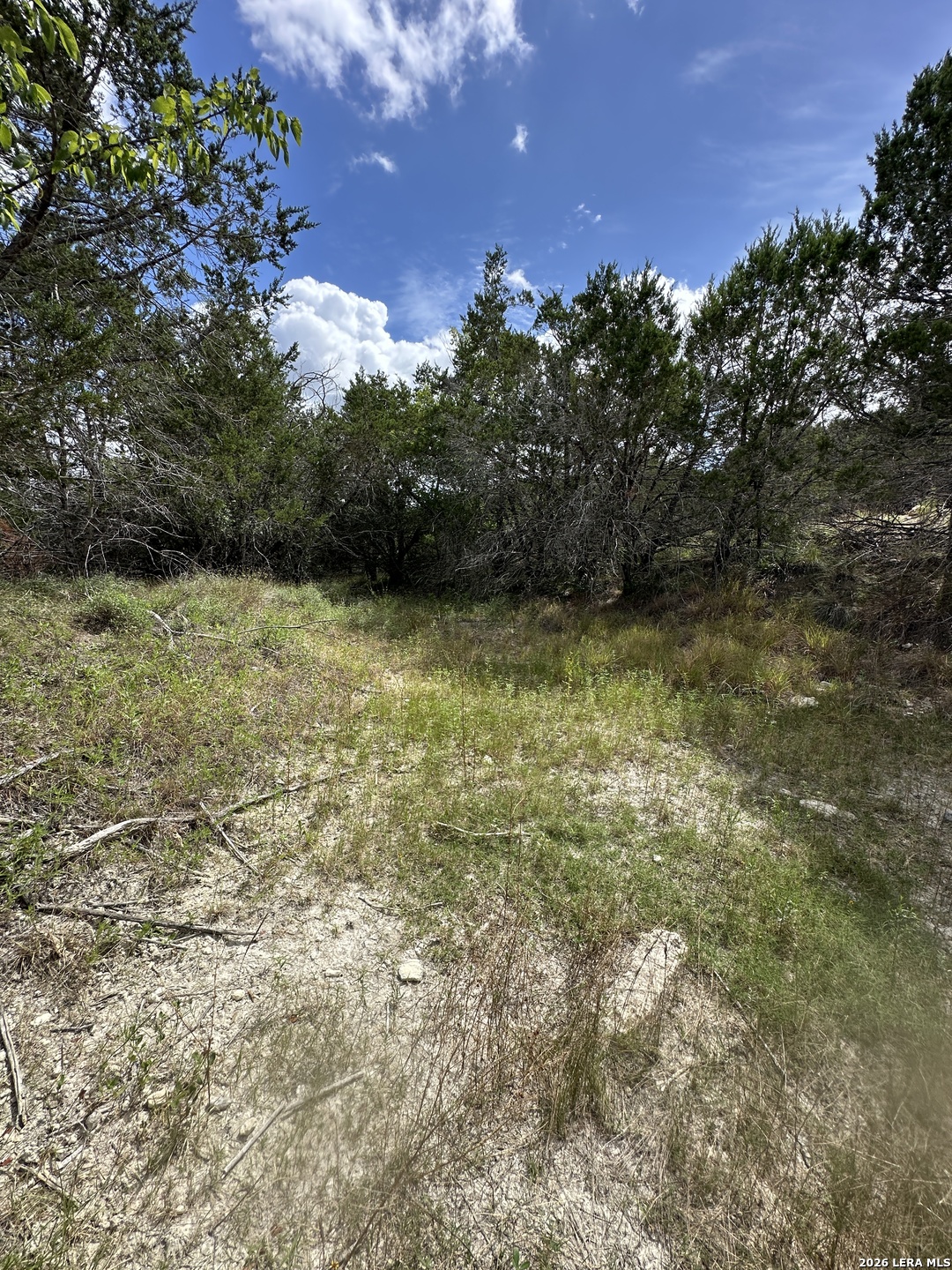 393 US HIGHWAY 87