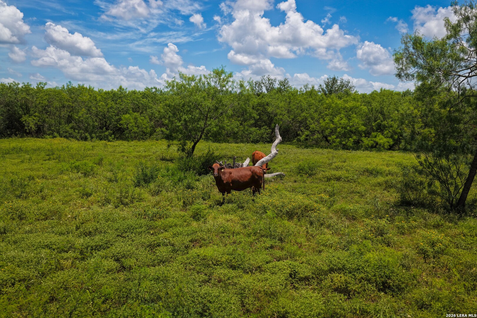 2249 LONG RD