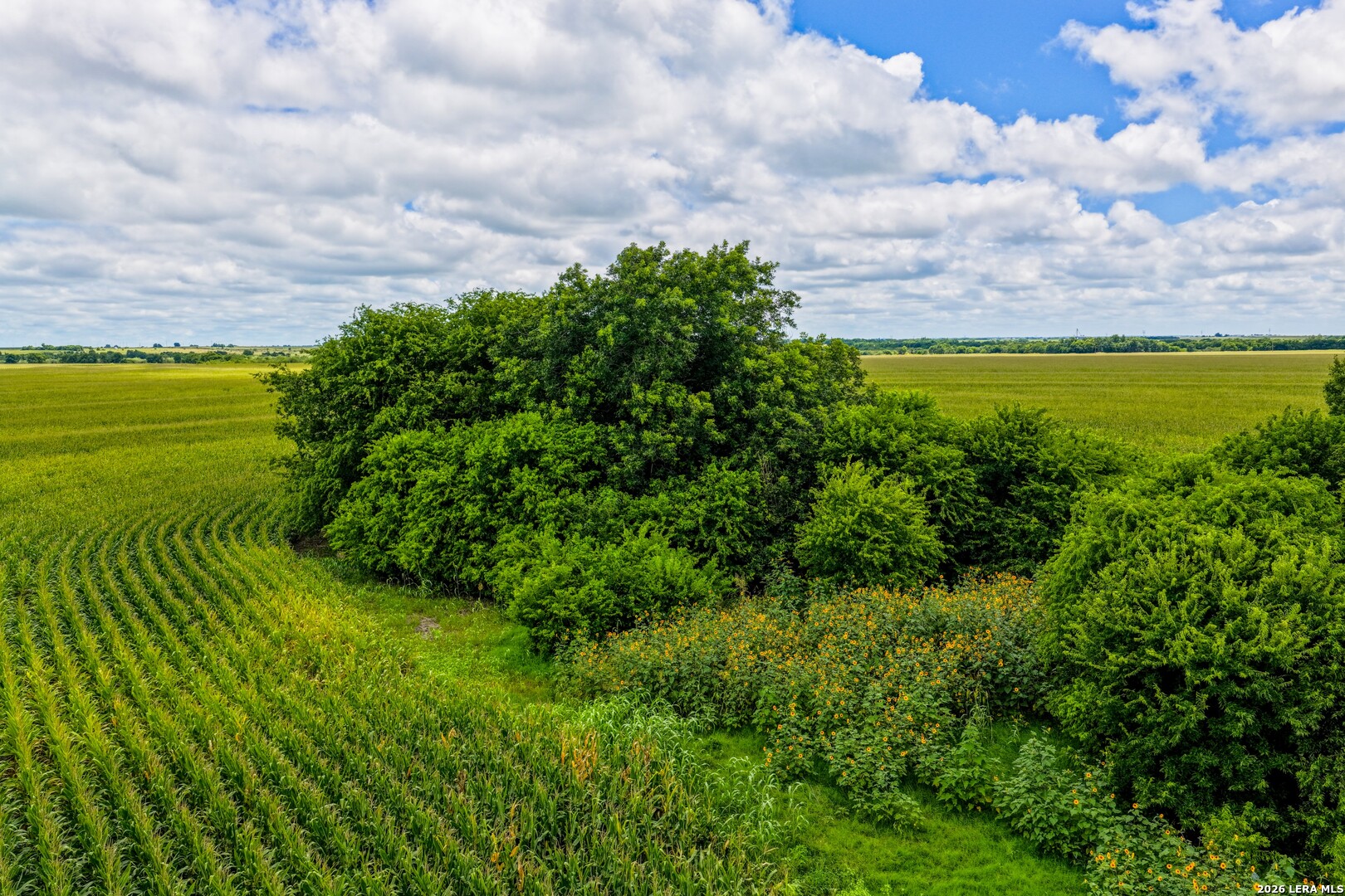 000 W COUNTY ROAD 301