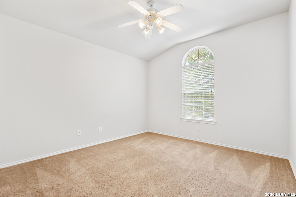 3703 Majestic Sage