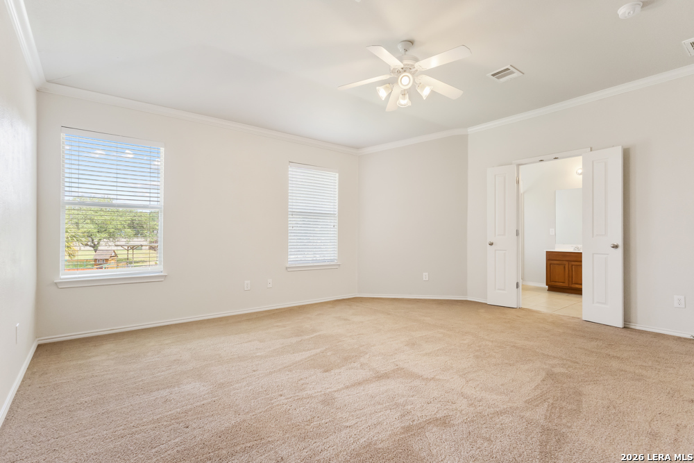 3703 Majestic Sage