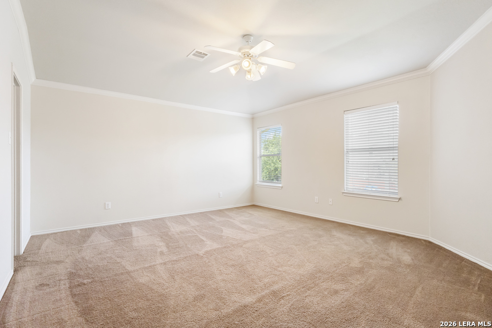 3703 Majestic Sage