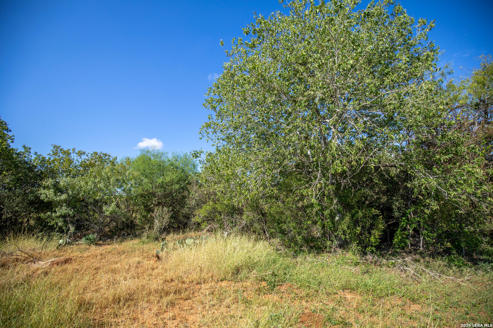 560 Pr Goose Creek