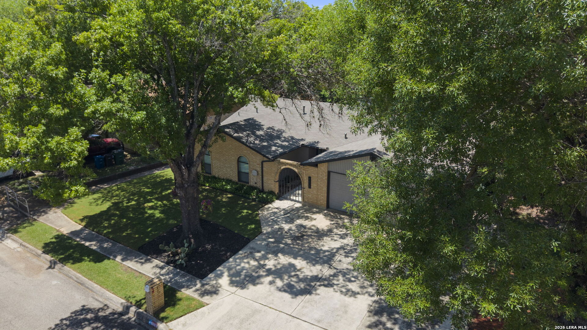 8603 Bristlecone