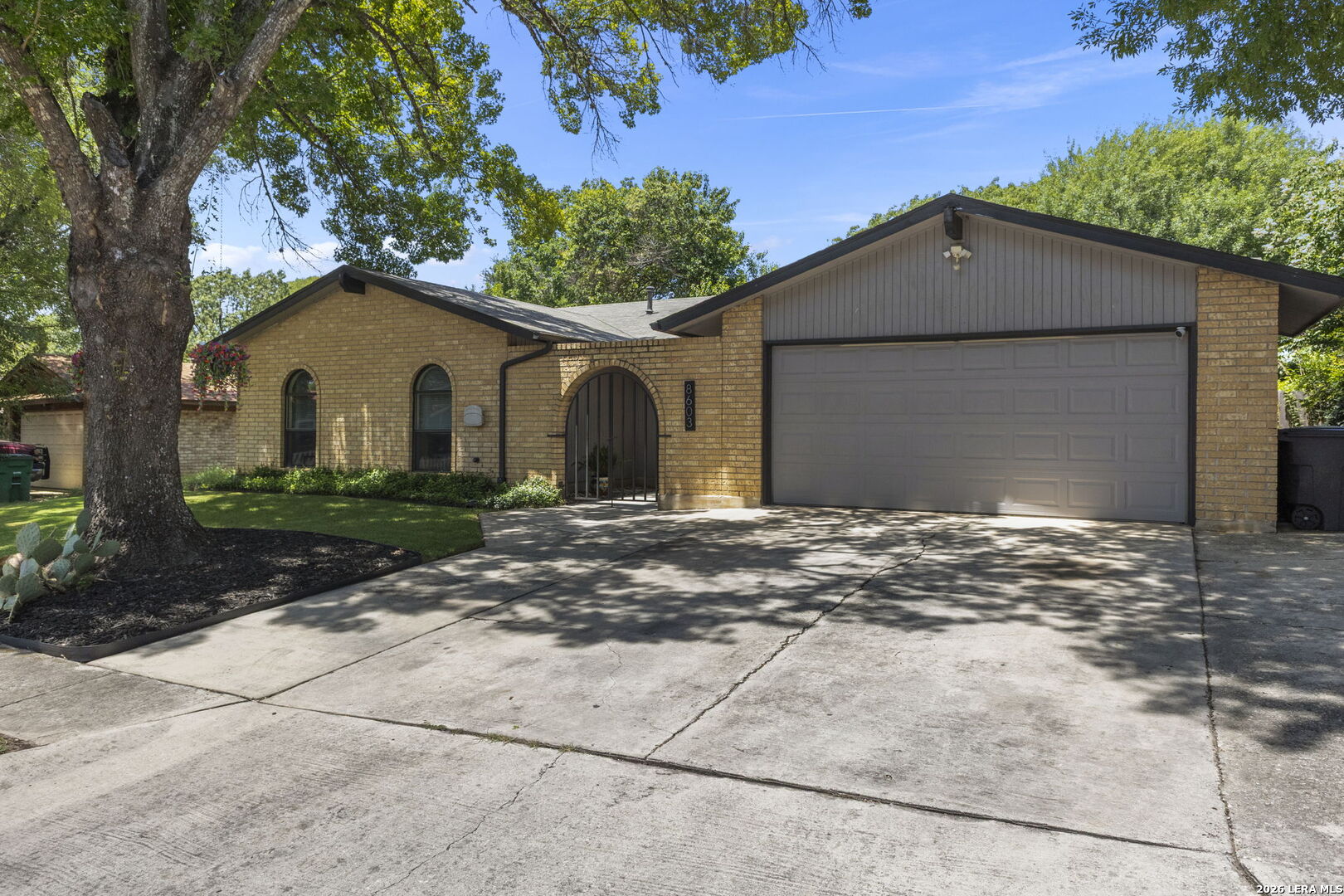 8603 Bristlecone