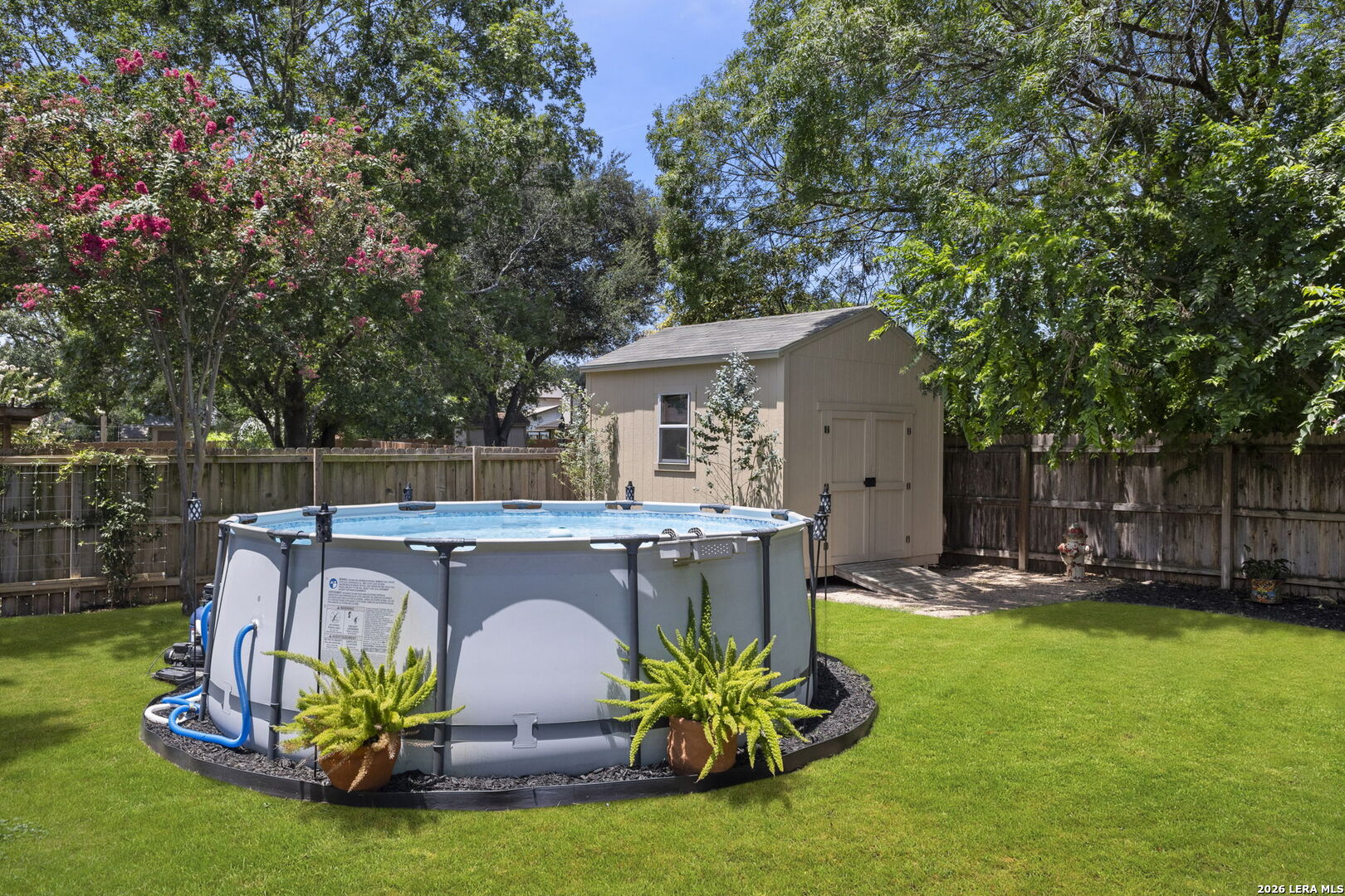 8603 Bristlecone