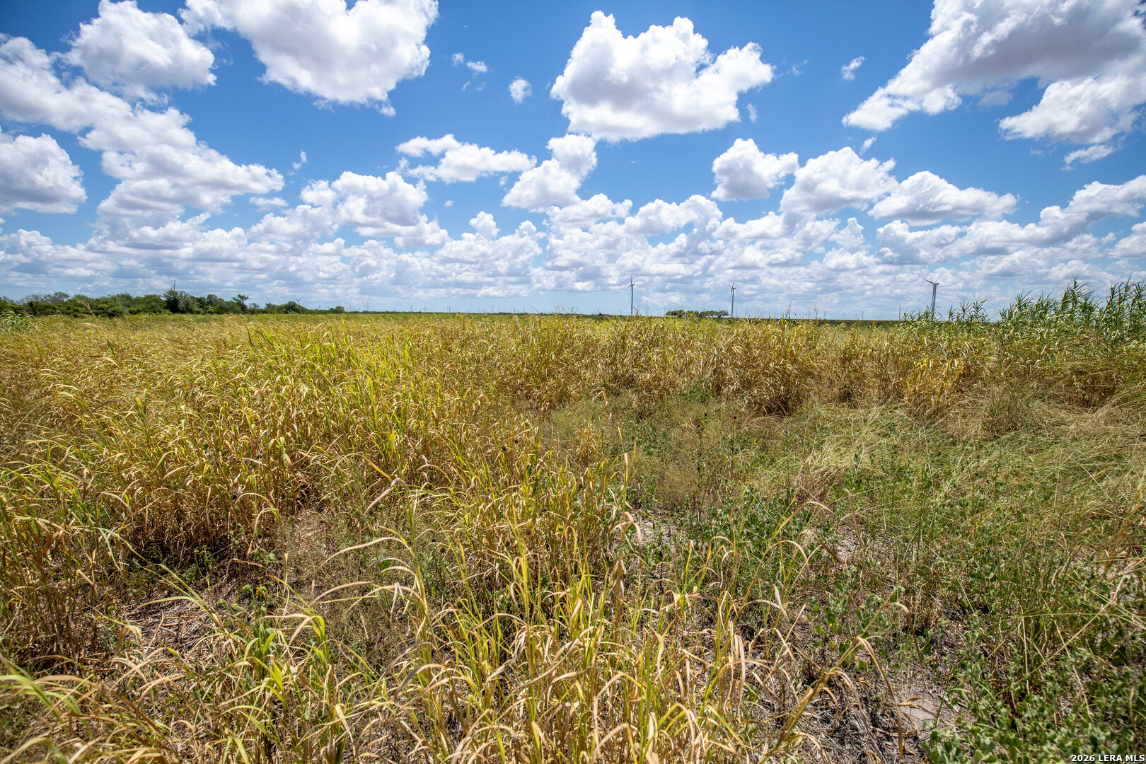 0 Cr 647