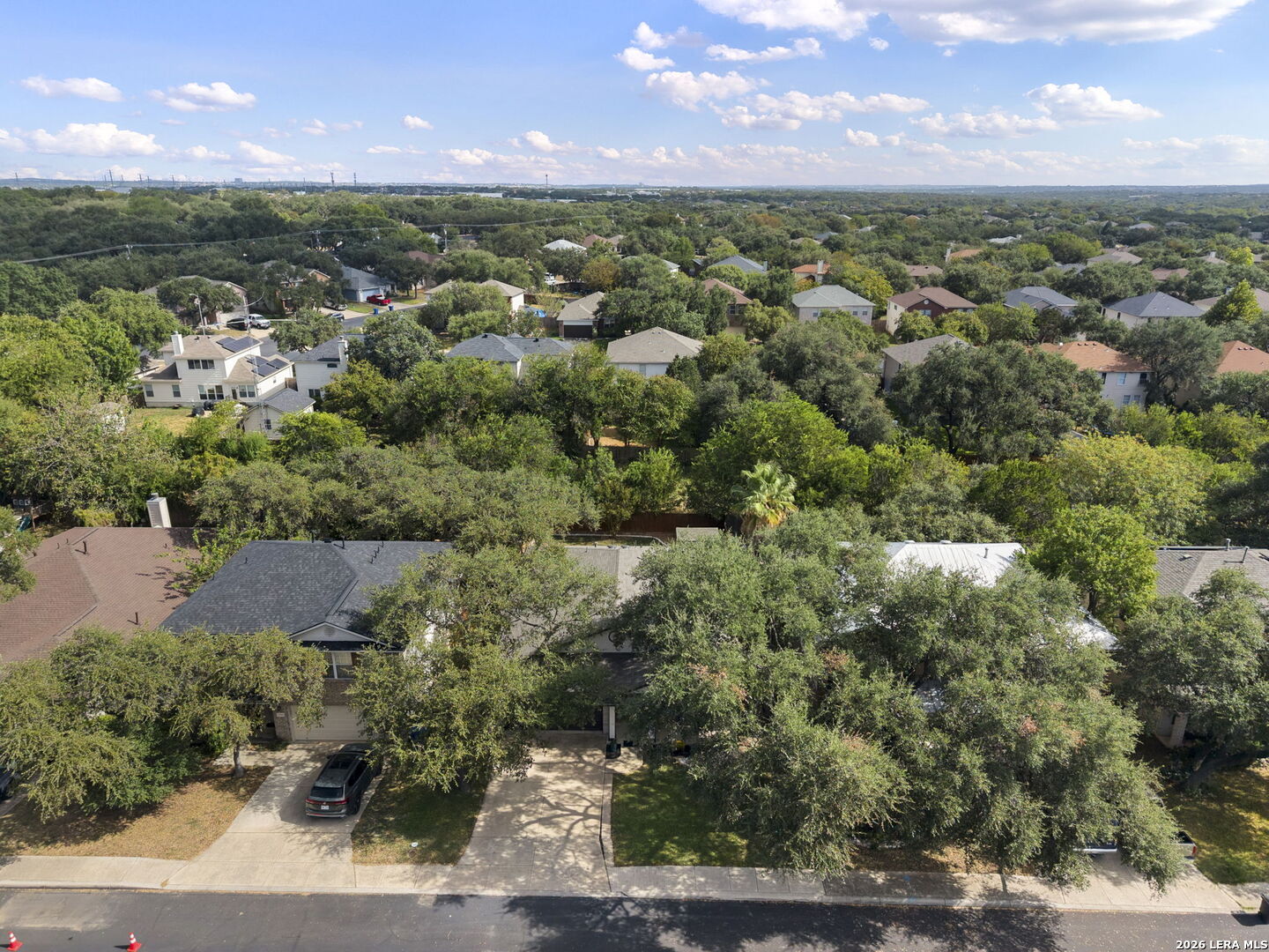 9534 Fallen Willow