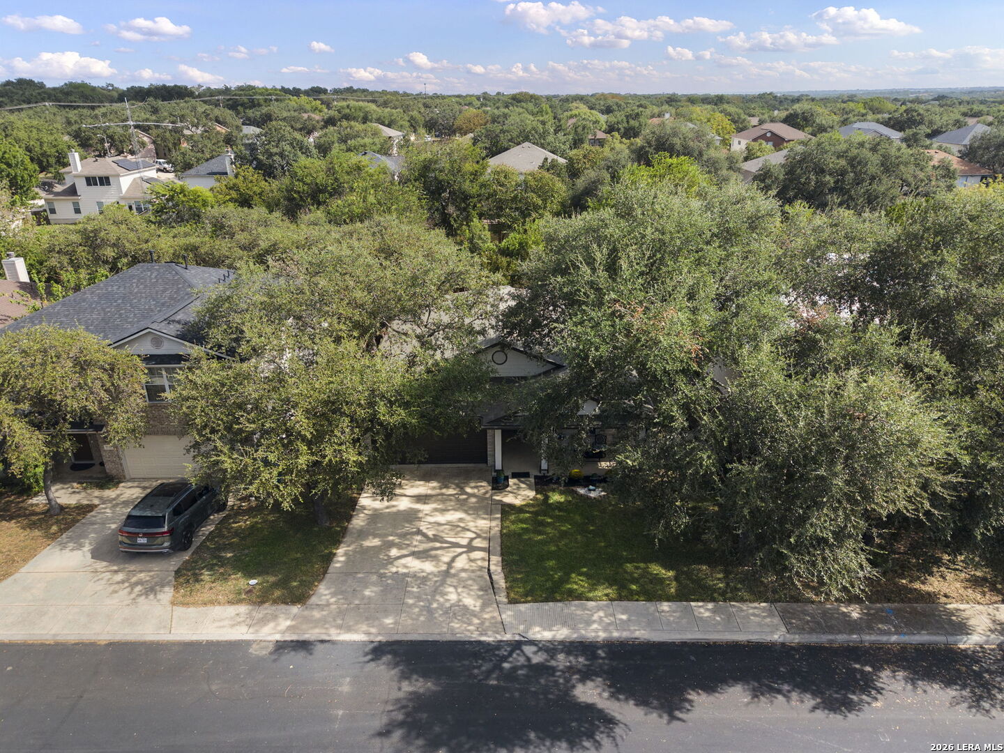 9534 Fallen Willow