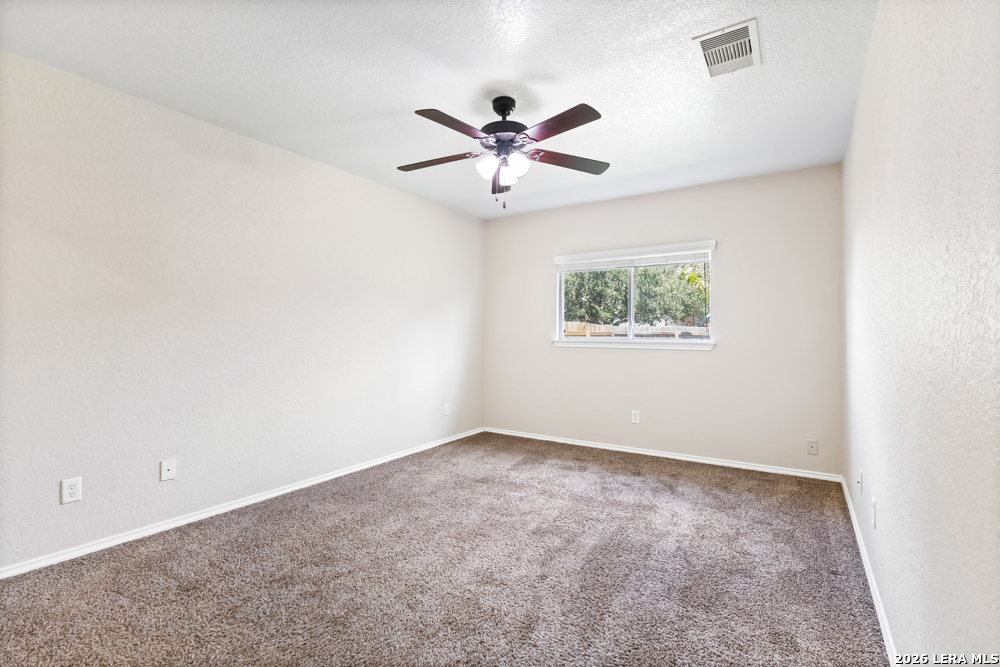 10015 Bermuda Palm