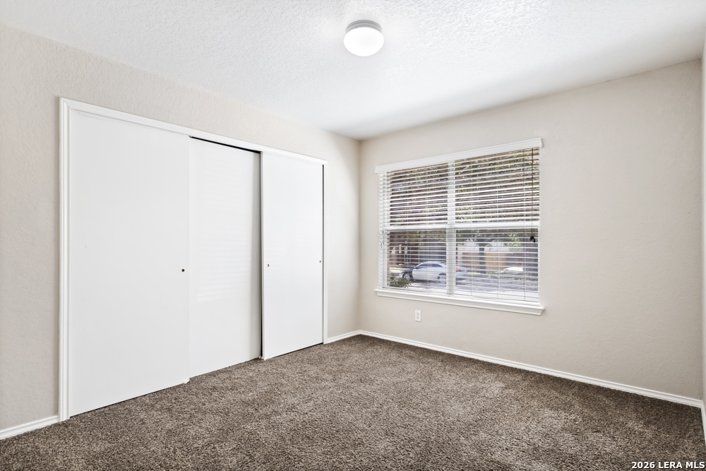 10015 Bermuda Palm