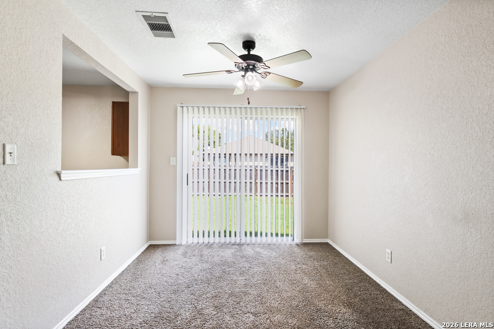 10015 Bermuda Palm