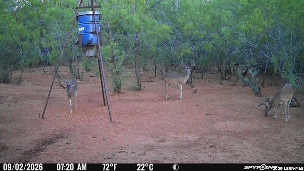 A00930 Cr 331