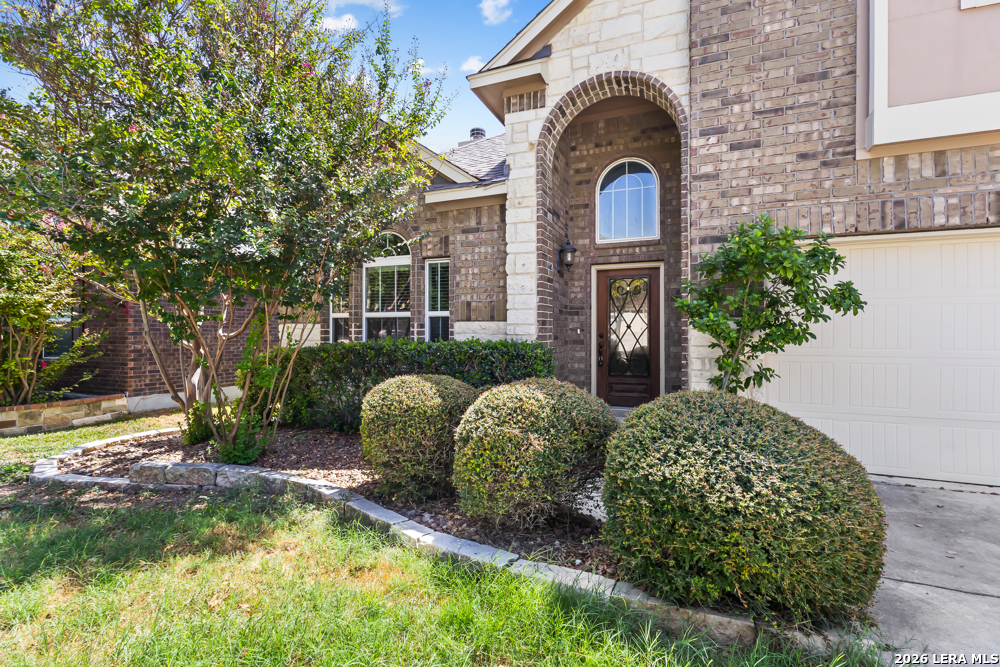 12522 Lexi Petal