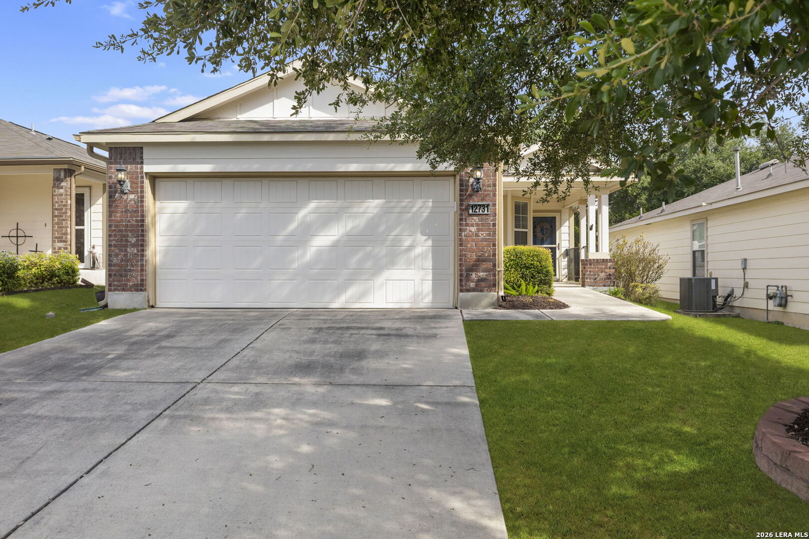 12731 Sand Holly