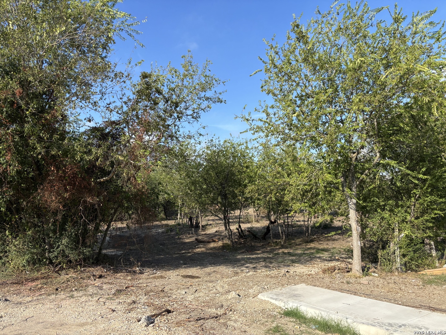 Wooded vacant lot with a cleared dirt area and concrete sidewalk.