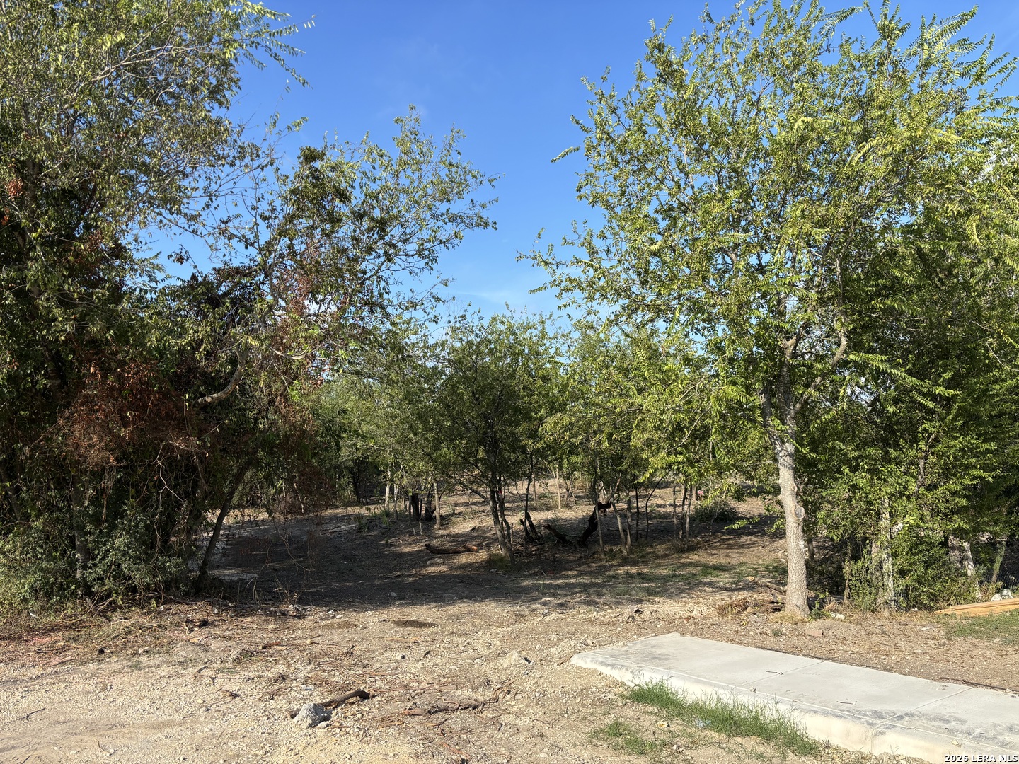 11207 Amhurst