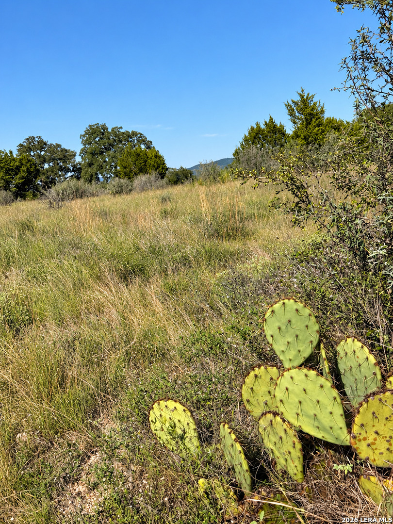 LOT 32 Lariat Trace